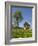 Saint Coloman Near to Fuessen, Allgaeu, Bavaria, Germany-Katja Kreder-Framed Photographic Print