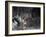 Saint Francis Before Pope Innocent the Third-Vittorio Emanuele Bressanin-Framed Giclee Print