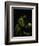 Saint Francis in Meditation-Caravaggio-Framed Giclee Print