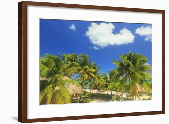 Saint Georges Caye Resort, Belize, Central America-Stuart Westmorland-Framed Photographic Print