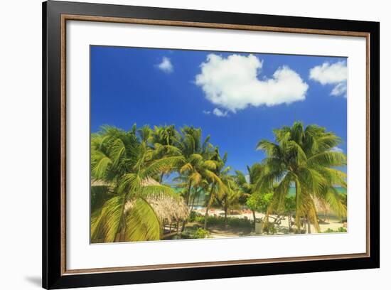 Saint Georges Caye Resort, Belize, Central America-Stuart Westmorland-Framed Photographic Print