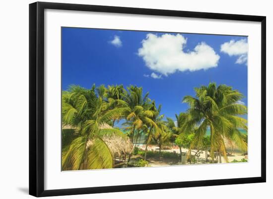 Saint Georges Caye Resort, Belize, Central America-Stuart Westmorland-Framed Photographic Print