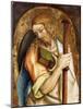 Saint James the Greater-Carlo Crivelli-Mounted Giclee Print