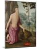 Saint Jerome in the Wilderness, C.1510-15-Pietro Perugino-Mounted Giclee Print