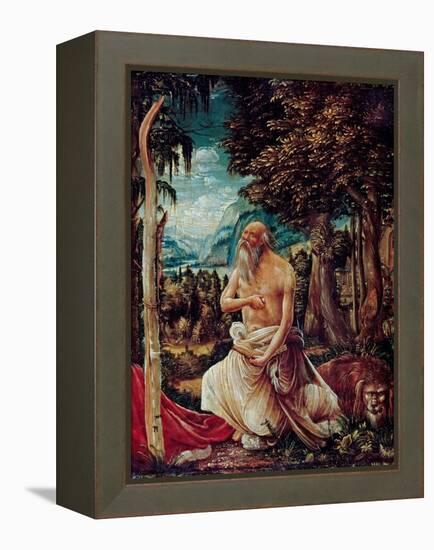 Saint Jerome Penitent  (The Repentant Saint Jerome) Peinture D'albrecht Altdorfer (C 1480-1538), 1-Albrecht Altdorfer-Framed Premier Image Canvas