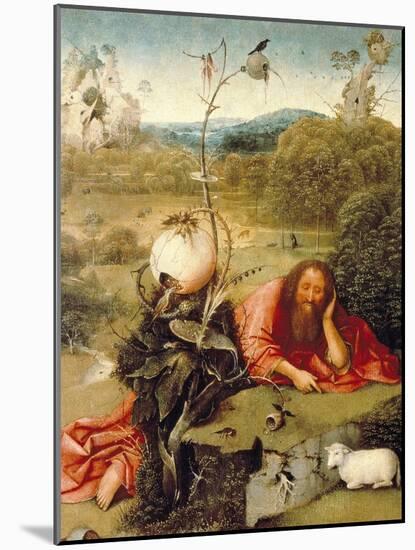 “ Saint John the Baptist Dozed in Nature ” Painting by Hieronymus Van Aeken (Aken) Says Jerome Bosc-Hieronymus Bosch-Mounted Giclee Print
