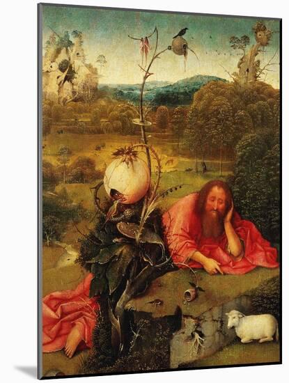 Saint John the Baptist In the Wilderness, Ca. 1489-Hieronymus Bosch-Mounted Giclee Print