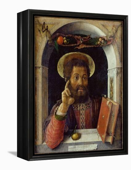 Saint Mark the Evangelist, C.1447 (Oil on Wood)-Andrea Mantegna-Framed Premier Image Canvas