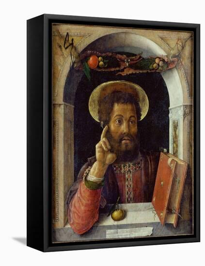 Saint Mark the Evangelist, C.1447 (Oil on Wood)-Andrea Mantegna-Framed Premier Image Canvas