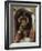 Saint Mark the Evangelist-Andrea Mantegna-Framed Giclee Print