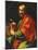 Saint Mark-Carlo Dolci-Mounted Giclee Print