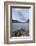 Saint Mary Lake, Glacier National Park, Montana.-Alan Majchrowicz-Framed Photographic Print