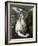 Saint Mary Magdalene in Penitence-El Greco-Framed Giclee Print