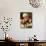 Saint Matthew-Guido Reni-Giclee Print displayed on a wall