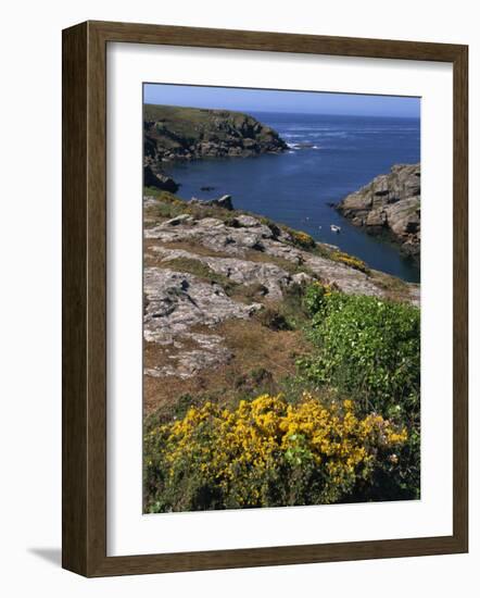 Saint Nicolas and Wild Flowers, Ile De Groix, Brittany, France, Europe-Thouvenin Guy-Framed Photographic Print