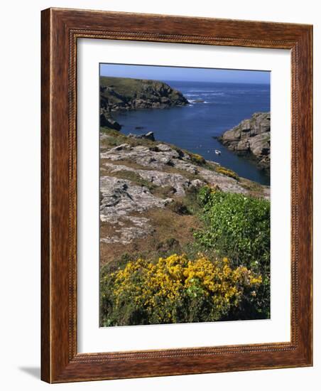 Saint Nicolas and Wild Flowers, Ile De Groix, Brittany, France, Europe-Thouvenin Guy-Framed Photographic Print