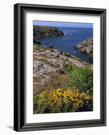 Saint Nicolas and Wild Flowers, Ile De Groix, Brittany, France, Europe-Thouvenin Guy-Framed Photographic Print