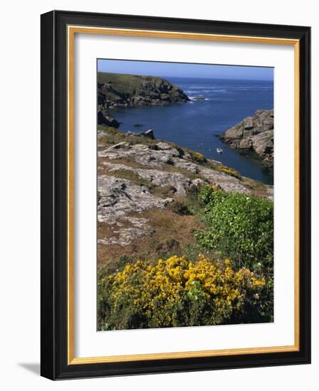 Saint Nicolas and Wild Flowers, Ile De Groix, Brittany, France, Europe-Thouvenin Guy-Framed Photographic Print