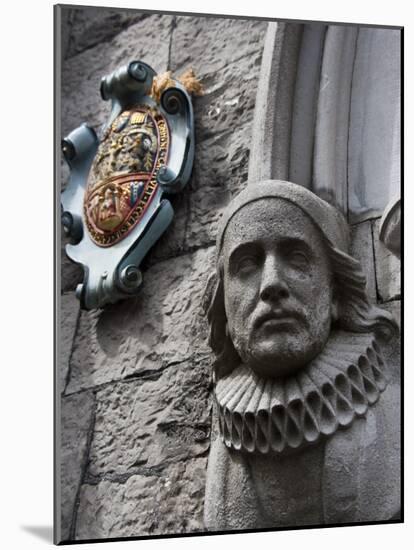 Saint Patrick's Cathedral in Dublin or Árd Eaglais Naomh Pádraig, Founded in 1191, Ireland-Carlos Sanchez Pereyra-Mounted Photographic Print