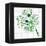 Saint Patrick's Day Doodles in the Shape of Clover with Four Leaves-Alisa Foytik-Framed Stretched Canvas