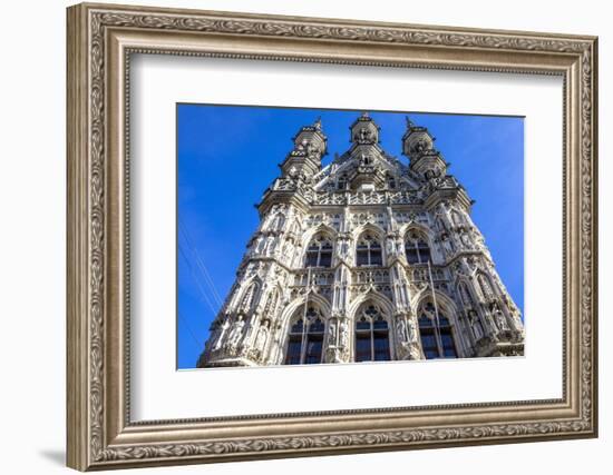 Saint Peter Collegiate Church, Leuven, Flanders, Belgium, Europe-Godong-Framed Photographic Print