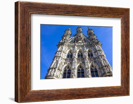 Saint Peter Collegiate Church, Leuven, Flanders, Belgium, Europe-Godong-Framed Photographic Print