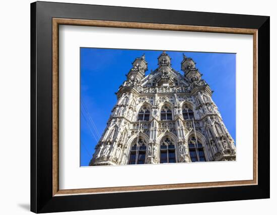 Saint Peter Collegiate Church, Leuven, Flanders, Belgium, Europe-Godong-Framed Photographic Print