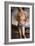 Saint Sebastian after 1490 Oil on panel-Pietro Perugino-Framed Giclee Print