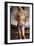 Saint Sebastian after 1490 Oil on panel-Pietro Perugino-Framed Giclee Print