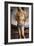 Saint Sebastian after 1490 Oil on panel-Pietro Perugino-Framed Giclee Print