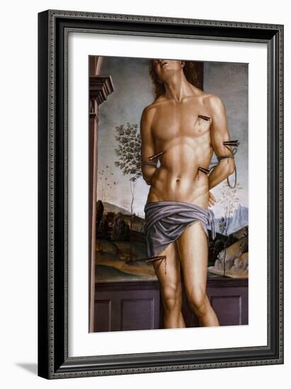 Saint Sebastian after 1490 Oil on panel-Pietro Perugino-Framed Giclee Print