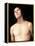 Saint Sebastian, Between 1493 and 1494-Perugino-Framed Premier Image Canvas