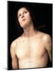 Saint Sebastian, Between 1493 and 1494-Perugino-Mounted Giclee Print