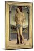 Saint Sebastian-Pietro Perugino-Mounted Giclee Print