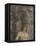 Saint Sébastien-Andrea Mantegna-Framed Premier Image Canvas