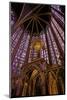 Sainte-Chapelle Interior, Paris, France, Europe-Neil Farrin-Mounted Photographic Print