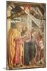 Saints Peter and Paul and Two Saints, Detail from San Zeno Altarpiece, 1456-1460-Andrea Mantegna-Mounted Giclee Print