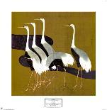 Cranes-Sakai Hoitsu-Art Print