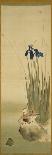 Poppy from Primrose, Mount Fuji, Bamboo and Toy Bird, Kanzan and Jittoku, Cuckoo under the Moon,…-Sakai Hoitsu-Framed Giclee Print