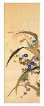 Hanging Scroll Depicting Cherry Blossoms, from a Triptych of the Three Seasons, Japanese-Sakai Hoitsu-Giclee Print