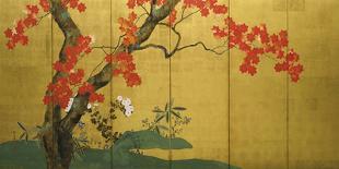 Hanging Scroll Depicting Cherry Blossoms, from a Triptych of the Three Seasons, Japanese-Sakai Hoitsu-Giclee Print
