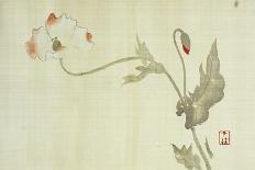 Cranes-Sakai Hoitsu-Art Print