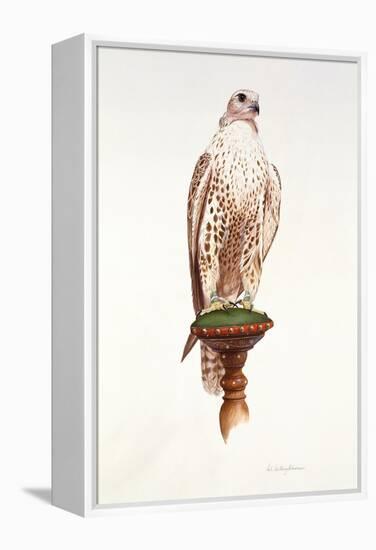 Saker, 1988-Mary Clare Critchley-Salmonson-Framed Premier Image Canvas