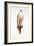 Saker, 1988-Mary Clare Critchley-Salmonson-Framed Giclee Print