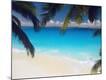 Premium Photographic Print