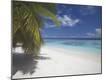 Premium Photographic Print