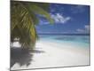 Premium Photographic Print