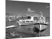 Photographic Print