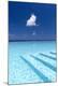 Premium Photographic Print