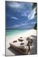Premium Photographic Print